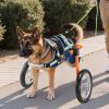 Dog Wheelchair for Back Legs, Lightweight 2 Wheels Pet Wheelchair, Height, Width & Length Adjustable, Dog Cart with Shock-Absorbing Wheels